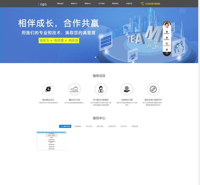 企業(yè)網(wǎng)站通用建站案例