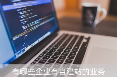 有哪些企業(yè)有自建站的業(yè)務(wù)(自建站工作好做嗎)